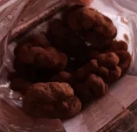 Bonbon de chocolat au noix