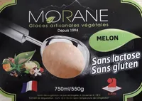 Glace artisanale végétal Melon