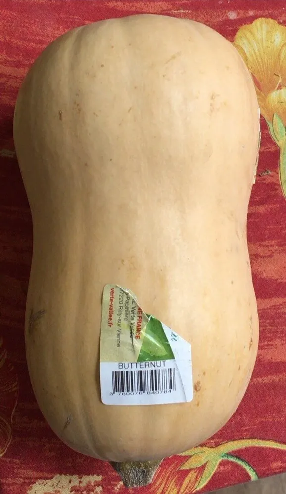Courge Butternut