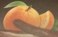 Orangettes