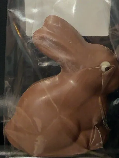 Lapin Assis Au Chocolat Au Lait
