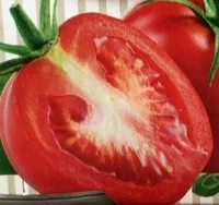 Sauce tomate cuisinée