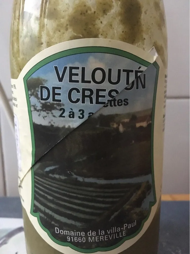 Veloute de cresson