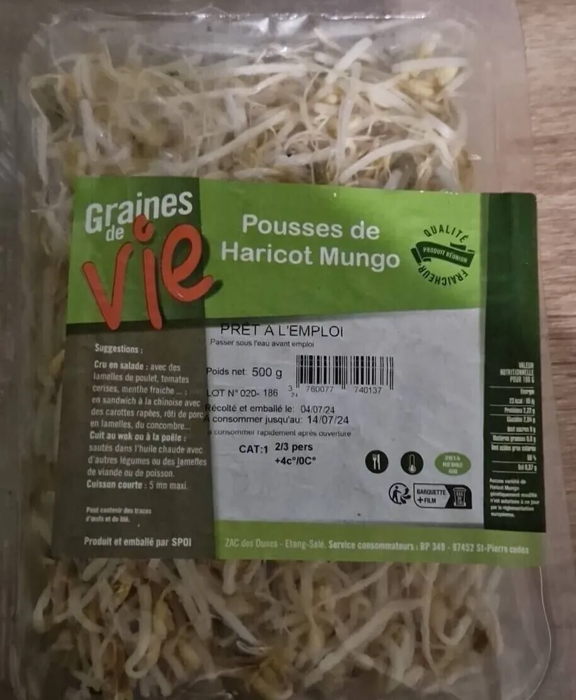 Pousses de haricot mungo