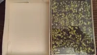 Coffret Praliné Feuilleté Noir Pistach