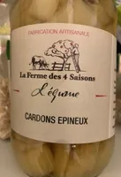 Cardons épineux