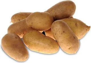 POMME DE TERRE