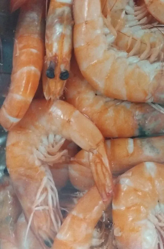 Crevettes roses