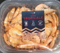 Crevette tropicale