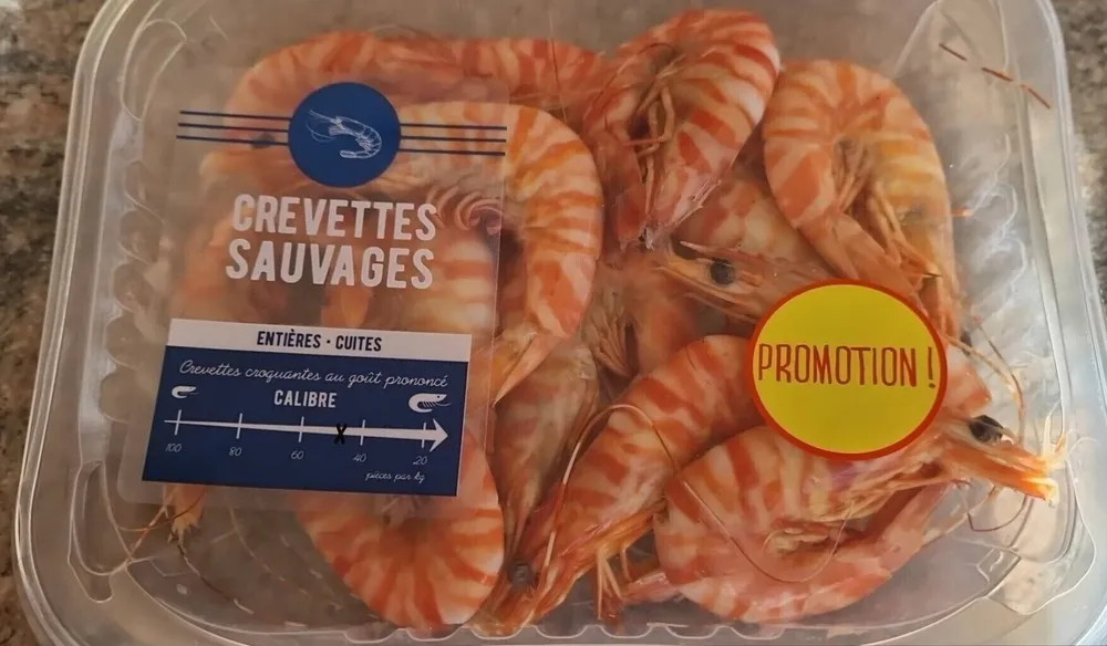 Crevettes sauvages
