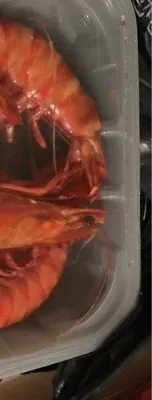 Crevette cuite refrigeree sauvage