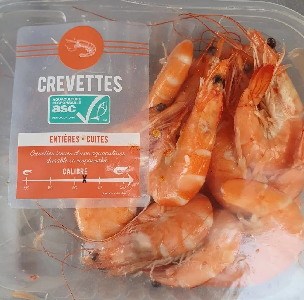 Crevettes entiere cuites réfrigérées asc