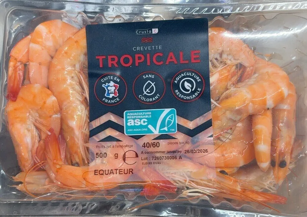 Crevette Tropicale