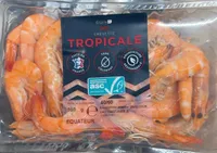 Crevette Tropicale