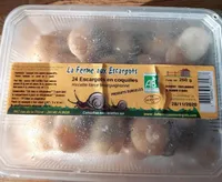 24 Escargots En Coquilles Farc