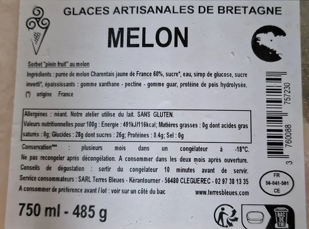 Glace artisanale MELON