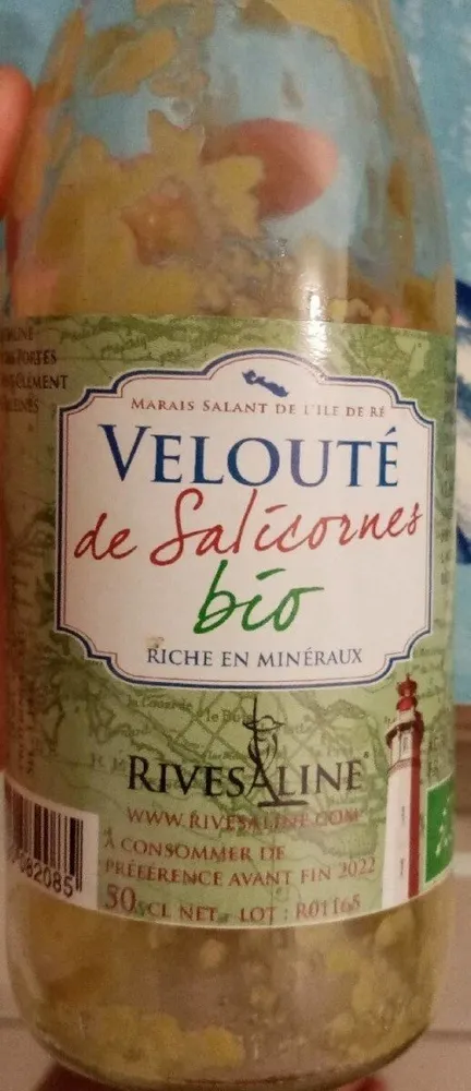 Velouté de salicorne
