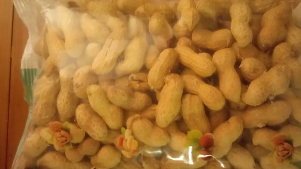 Arachides coques grillées jumbo