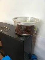 Raisin secs
