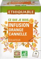 Infusion orange canelle