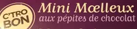 Mini moelleux aux pepites de chocolat