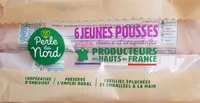 6 jeunes pousses d'endives