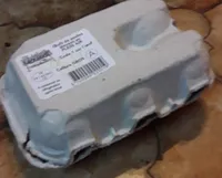 Œuf de poules élevées en PLAINE AIR