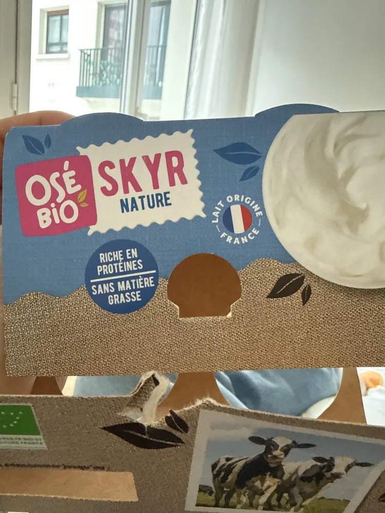 Skyr nature