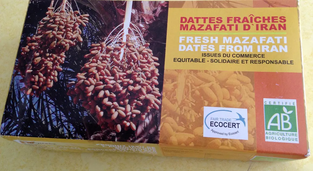 Dattes Fraîches Mazafati d'Iran