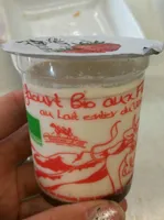 Yaourt bio aux fruits