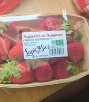 Fraise bio de Plougastel