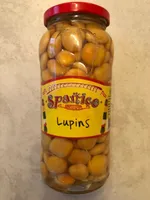 Lupin