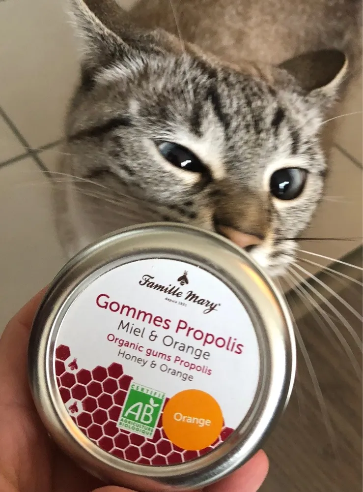 Gommes propolis