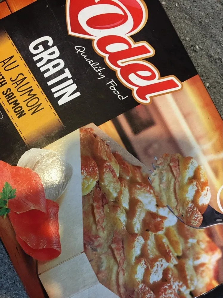 Gratin au saumon