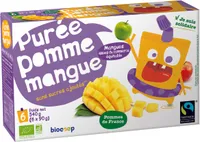Purée pomme mangue gourde