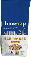 Blé tendre à germer France