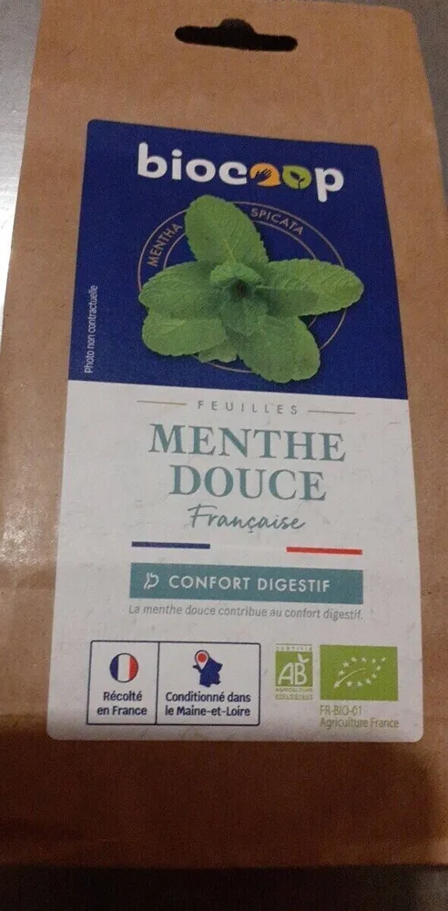 Menthe douce feuille