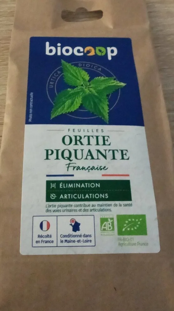 Ortie piquante feuille