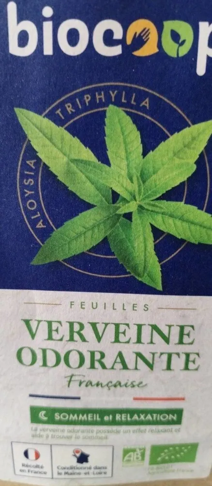 Verveine odorante feuille