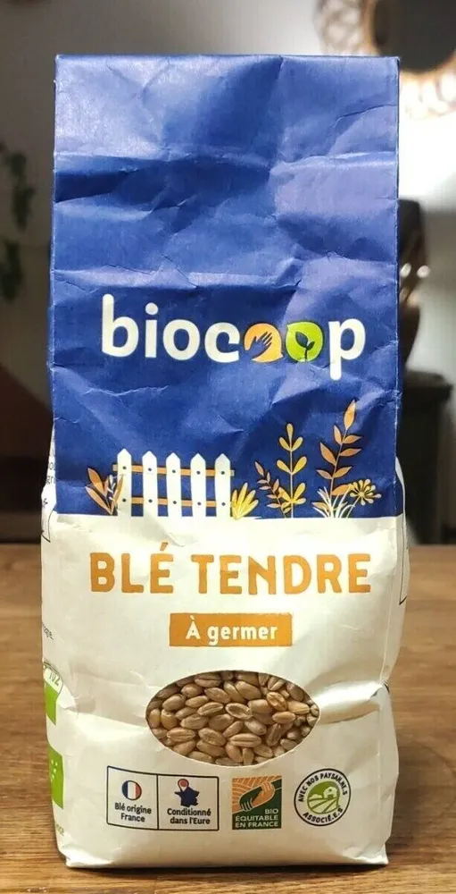 Blé tendre à germer