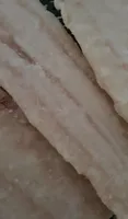 Filets de loup de mer surgelés