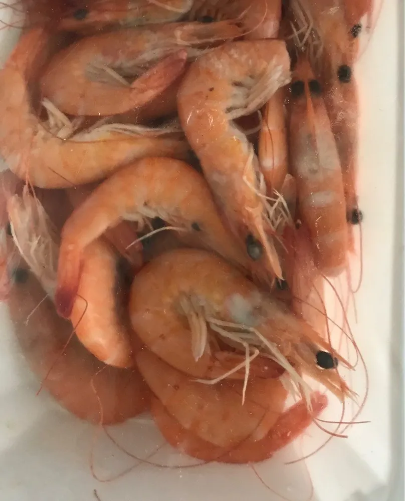 Crustafrais
