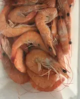 Crustafrais