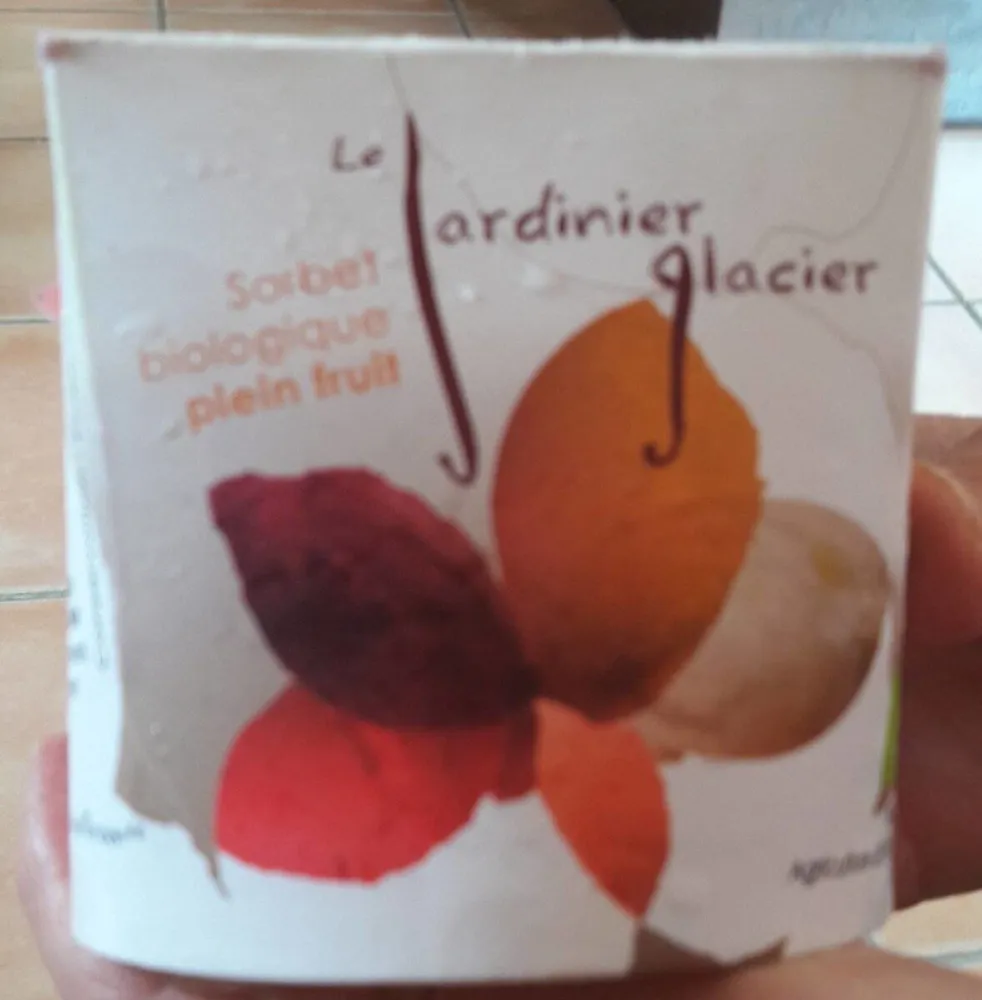 Sorbet biologique fraise