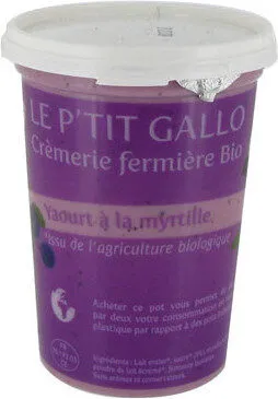 Yaourt Entier Myrtille
