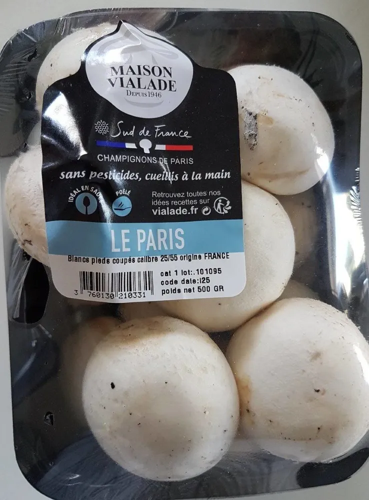 Champignon blanc de Paris