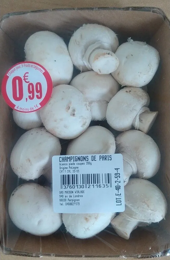 Champignon de Paris