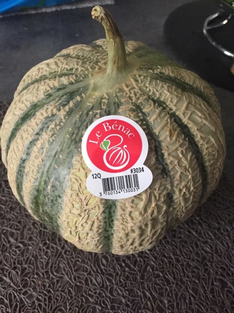 Melon