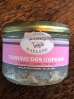 Terrine des copains