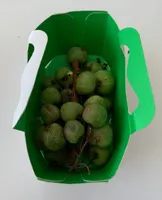 Kiwai